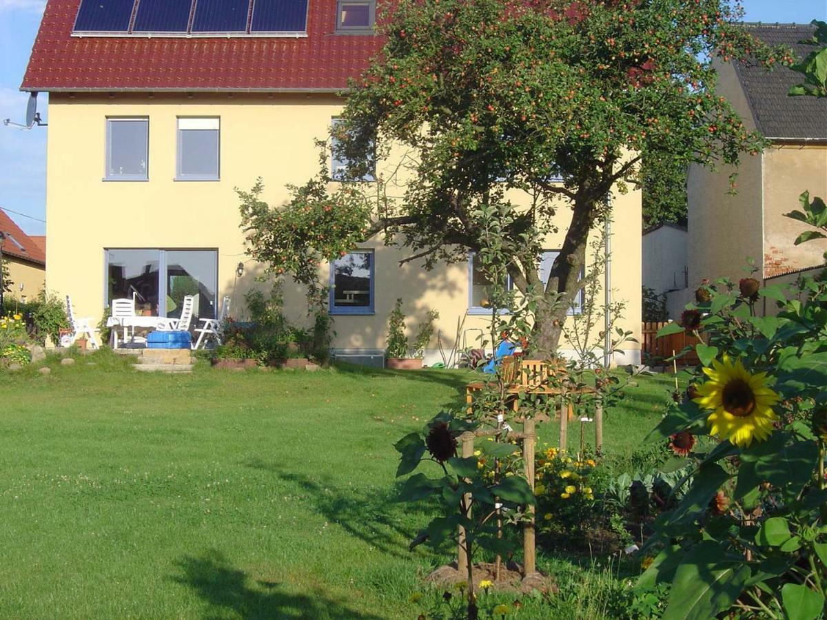 Fewo Dd- Wilschdorf Dresden Ngoại thất bức ảnh